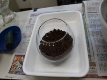 ハイドロボールを入れたところ