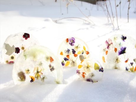 太陽の光の透かしたところ