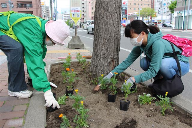 北3条通りの花植えの様子
