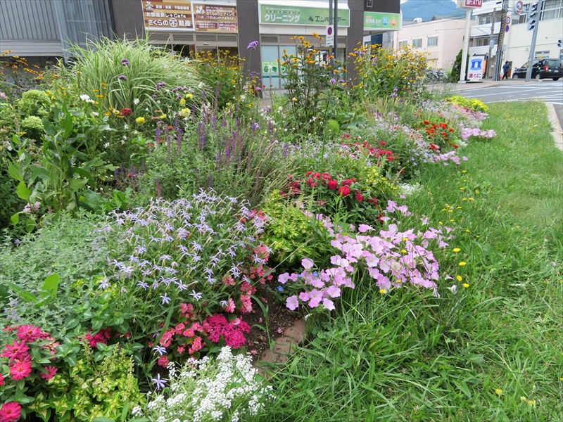 西側花壇の夏の様子