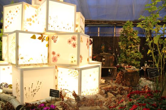 夕暮れ時の展示の様子