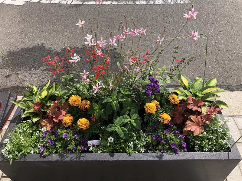 八重の花班のコンテナ