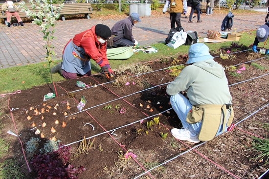 50㎝四方に区切られた花壇