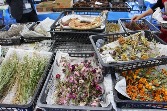 ドライフラワー