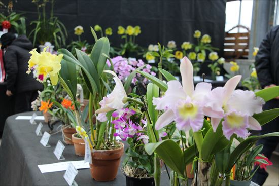 市民ラン展の展示の様子