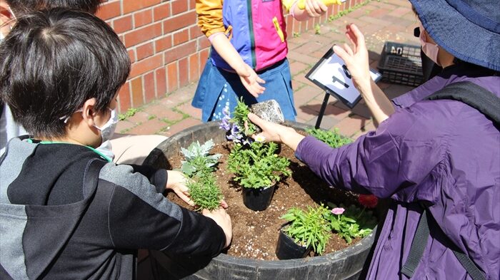 花植えの様子