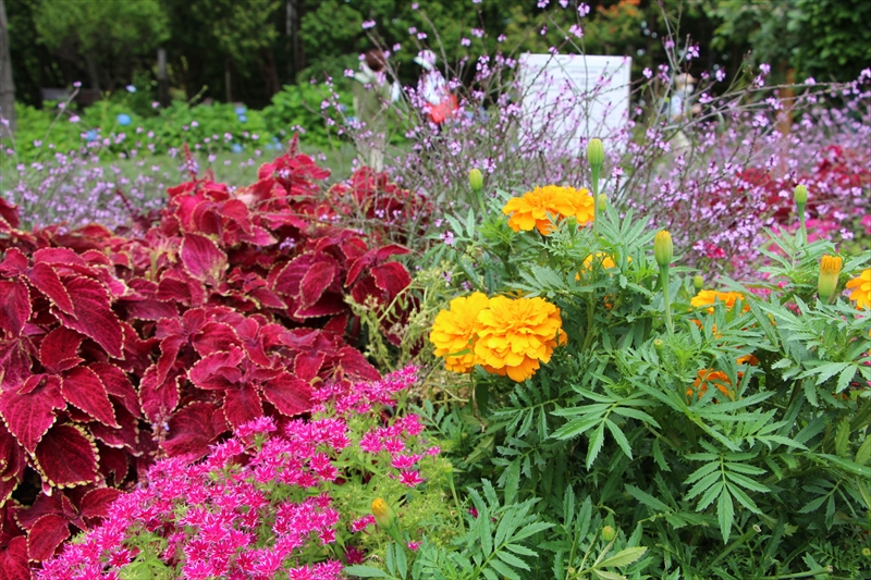 学生デザインの花壇
