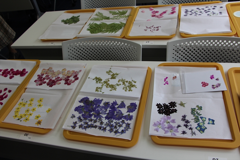 用意された押し花