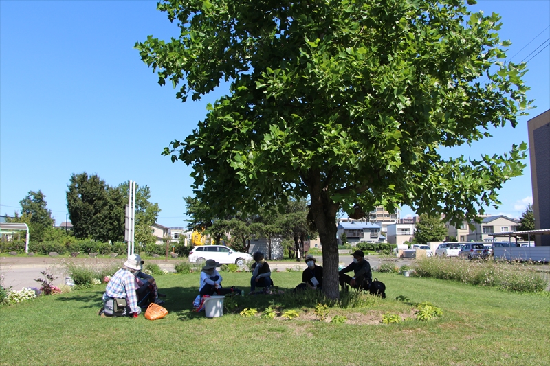 ユリノキの木陰で休憩をとっている