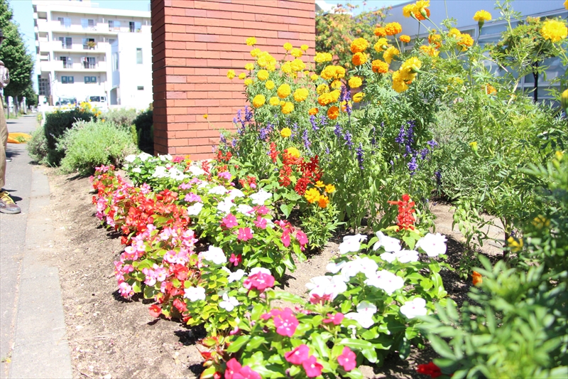 カゴメの玄関周りの様子