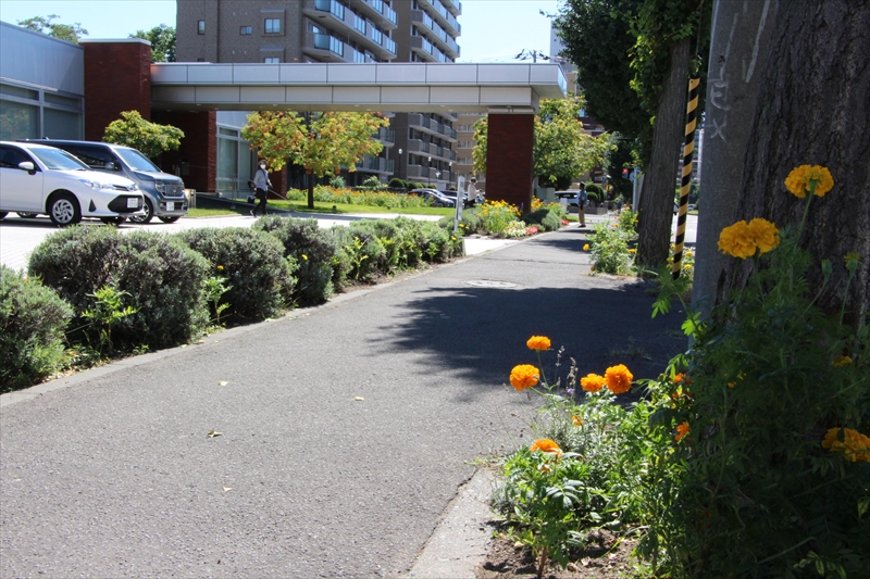 カゴメ北海道支社の建物周りの様子