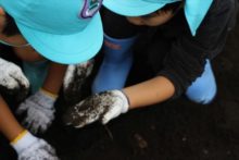 虫に興味のある子