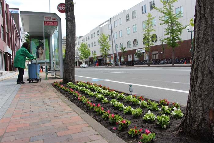 北3条通りの苗植え