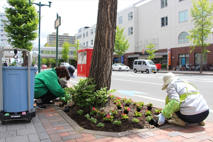 北3条通りの花植えの様子