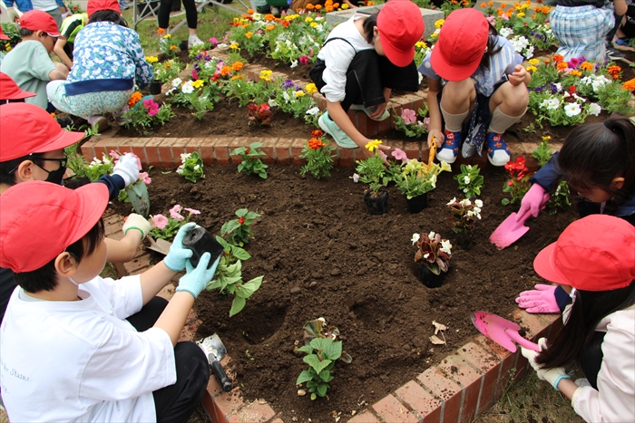 植え方を考えている