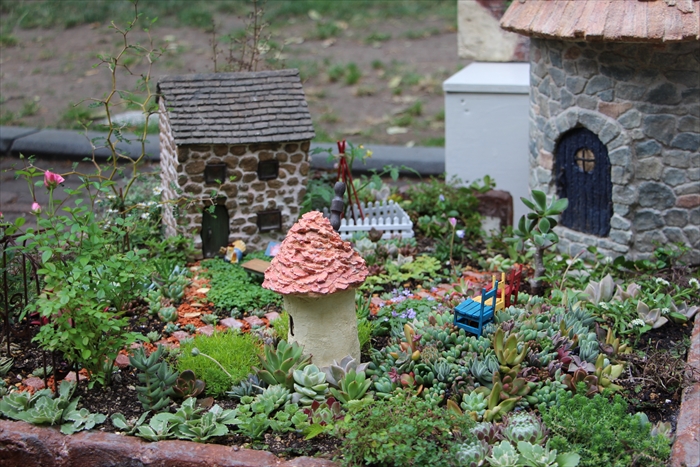 多肉植物の作品