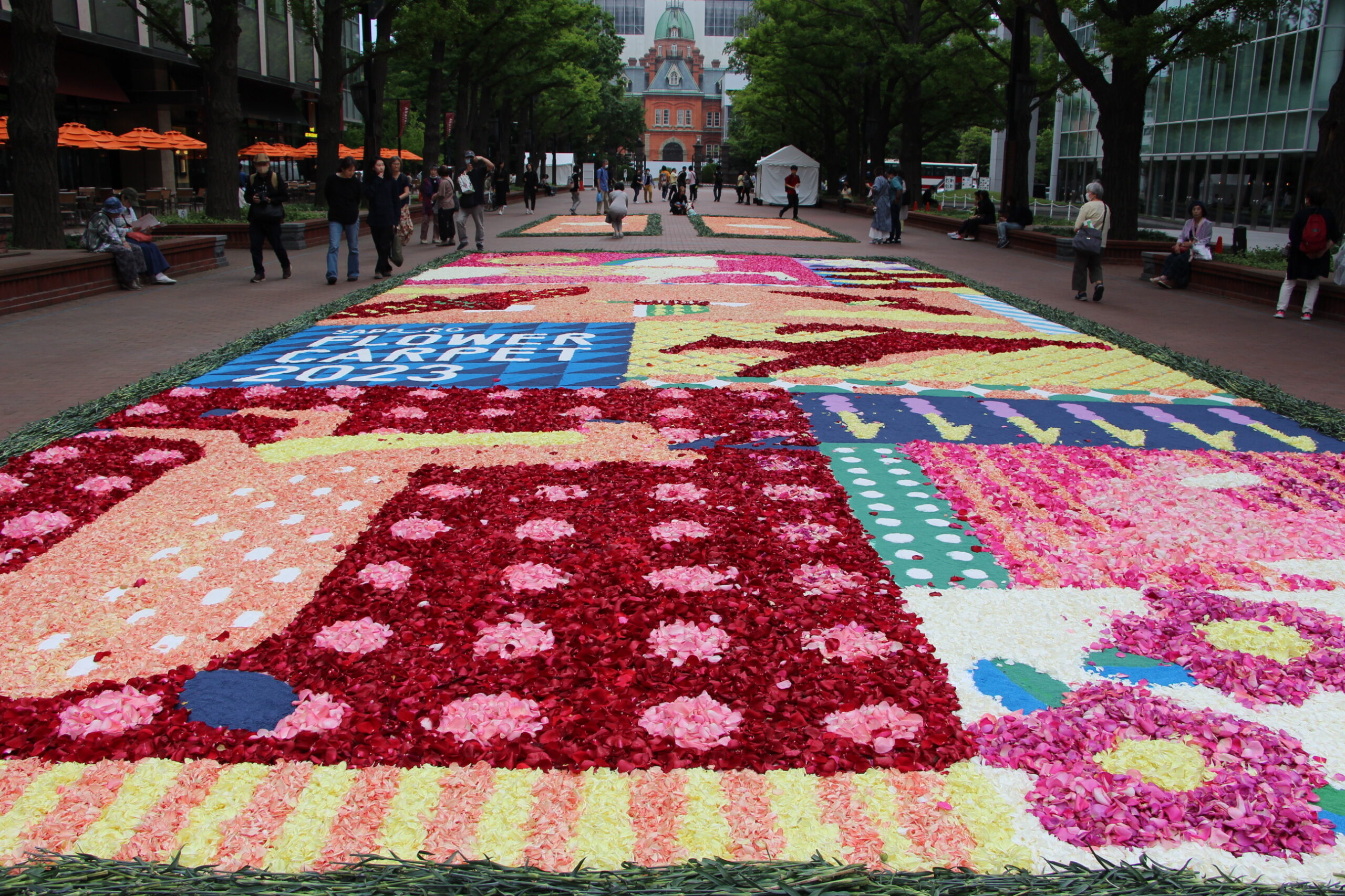 フラワーカーペット2023