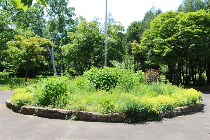 作業前の円形花壇