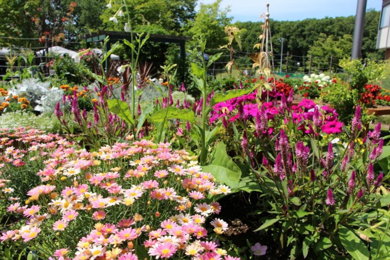 レイズドベッドの様子