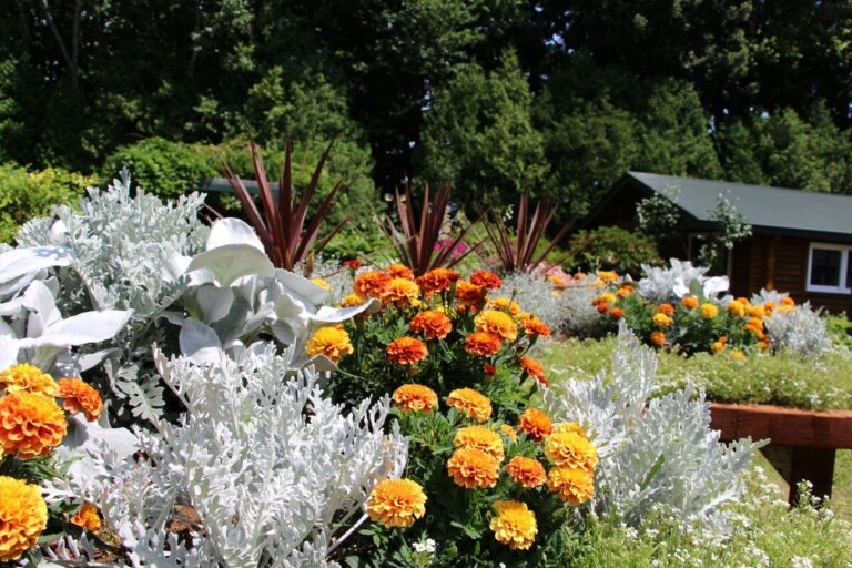 白がテーマカラーのレイズドベッド