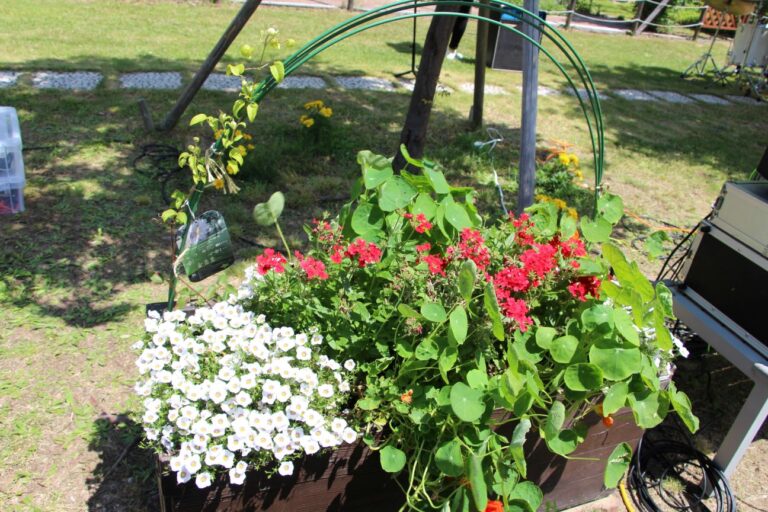 奏者の周りを彩るコンテナ