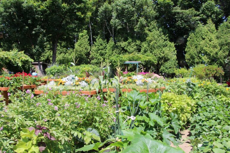 イネーブルガーデン全景