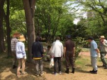 上に草の生えているところの上体を見ているところ