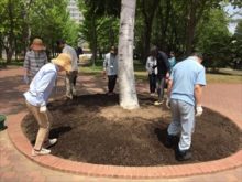 足で踏んでなじませているところ