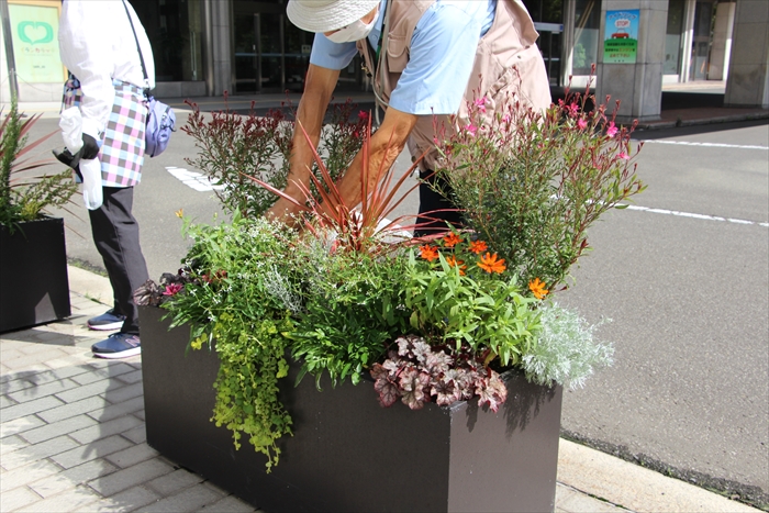 お手入れの様子