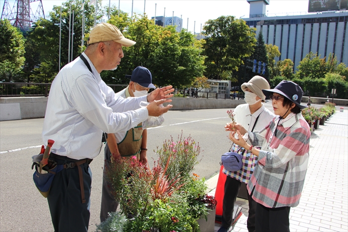 ガウラの挿し木のレクチャーをしている
