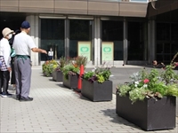 SAPPO～RO  フラワーズ