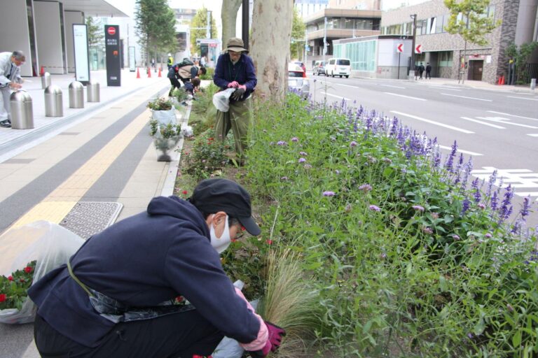 花壇の片付けの様子