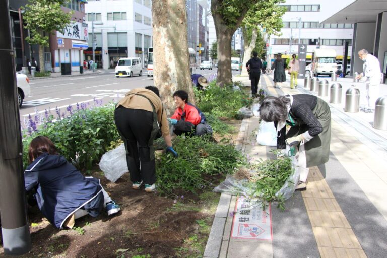 抜き取った植物を片づけている様子