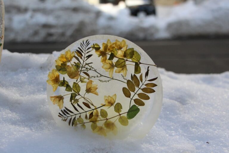 葉物を封じ込めた飾り