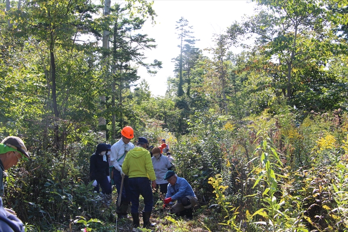 認定NPO法人シーズネットの森づくり活動の様子
