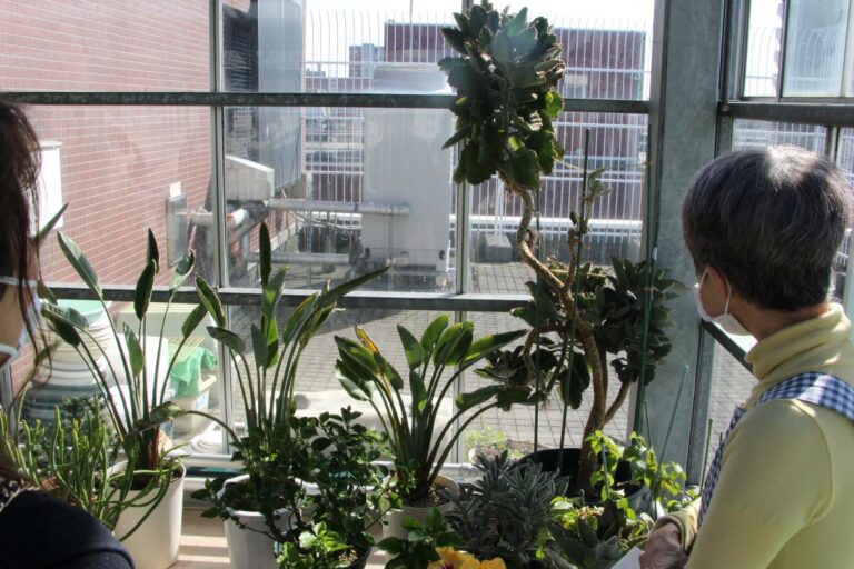 ファングの仕立て方についてアドバイスを受けている様子