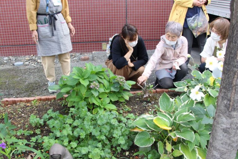 山野草花壇での様子