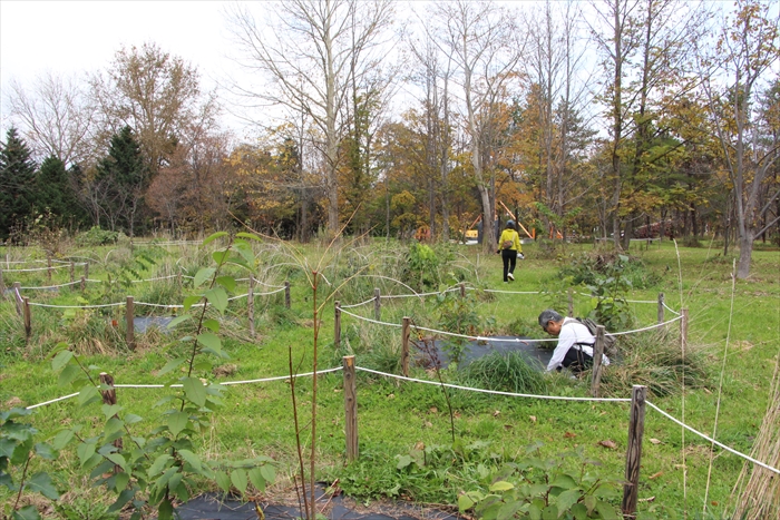 除草作業の様子