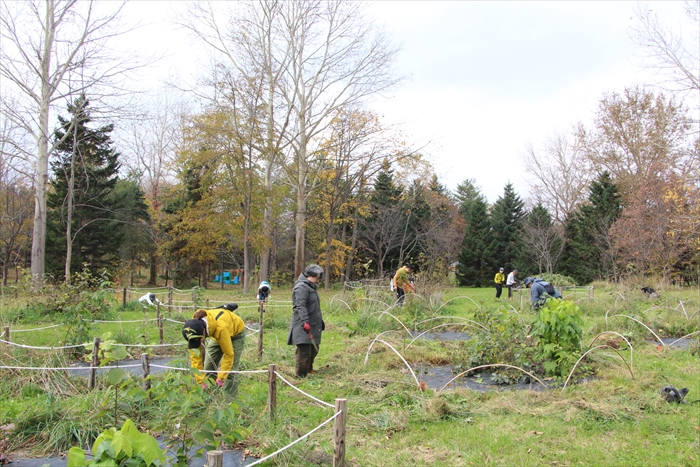 未来の森づくりの様子