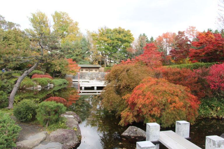 世界の庭園 日本庭園の水舞台と紅葉