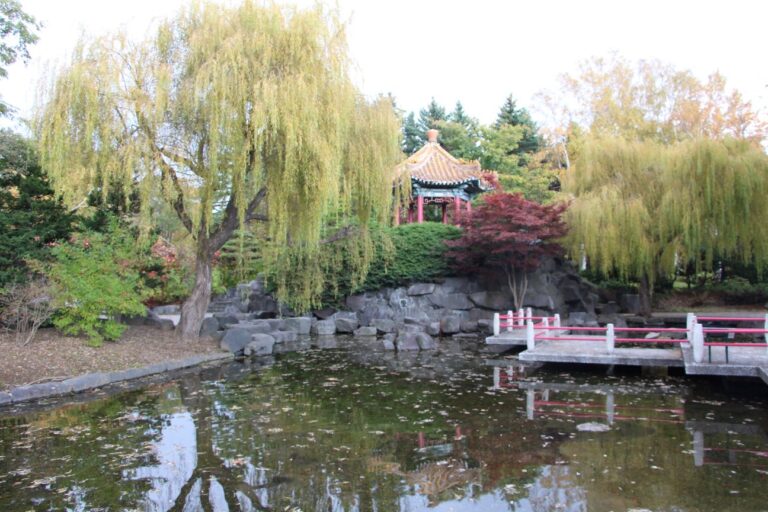 瀋芳園のようす