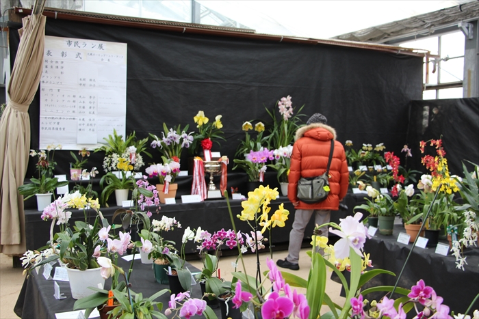 ラン展の様子