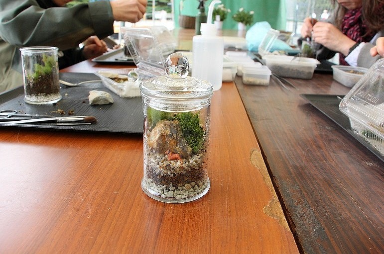 苔テラリウムワークショップの様子