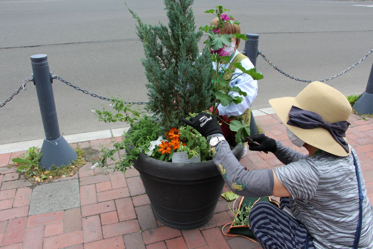 メンテナンスのようす