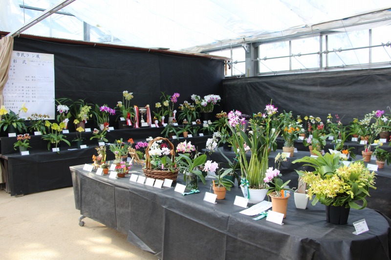 市民ラン展のようす