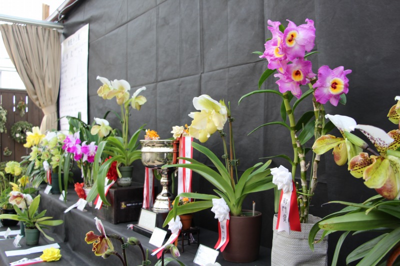 市民ラン展のようす