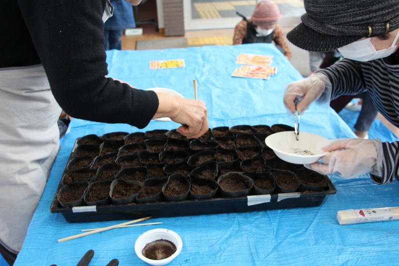 一粒ずつ種まきをしている