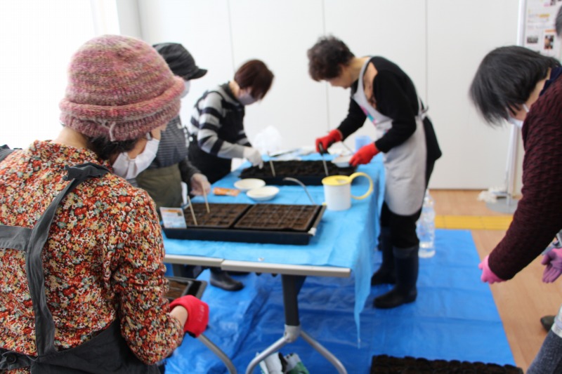 花コパンが種まきをしている