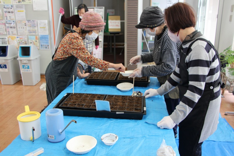 「登録団体活動紹介「花コパン」たねまきをしました」のサムネイル