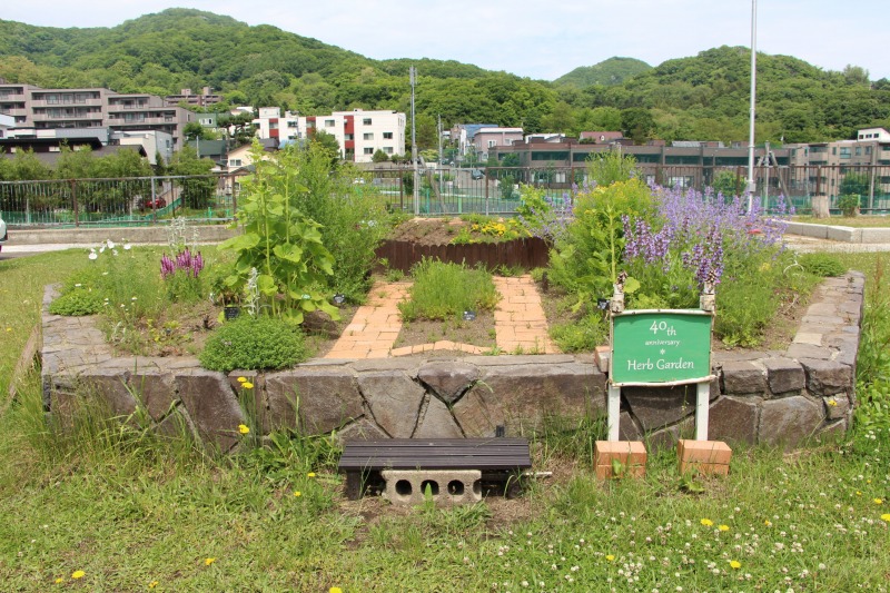 40周年ハーブ花壇
